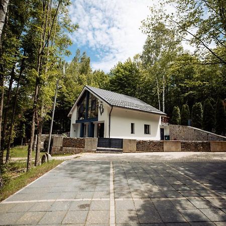 Vila Blanc Valiug Crivaia Kültér fotó