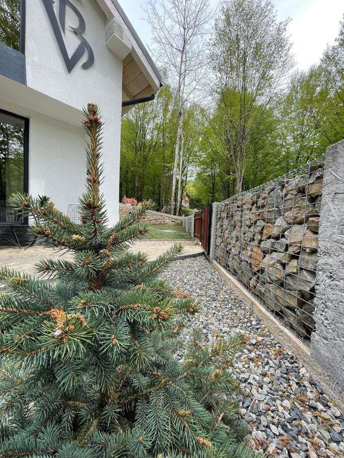 Vila Blanc Valiug Crivaia Kültér fotó