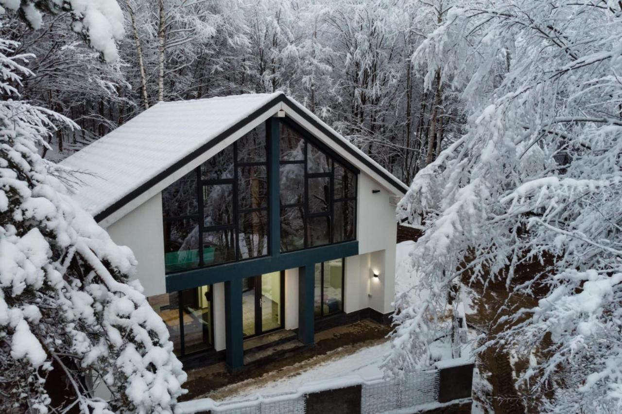 Vila Blanc Valiug Crivaia Kültér fotó