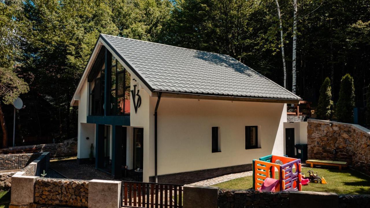 Vila Blanc Valiug Crivaia Kültér fotó
