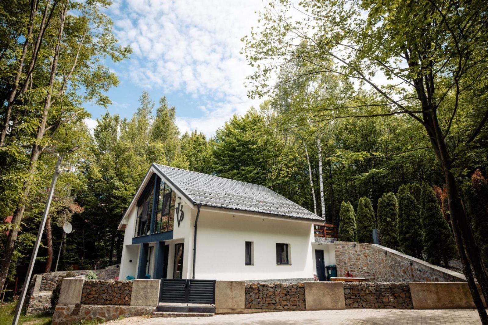 Vila Blanc Valiug Crivaia Kültér fotó