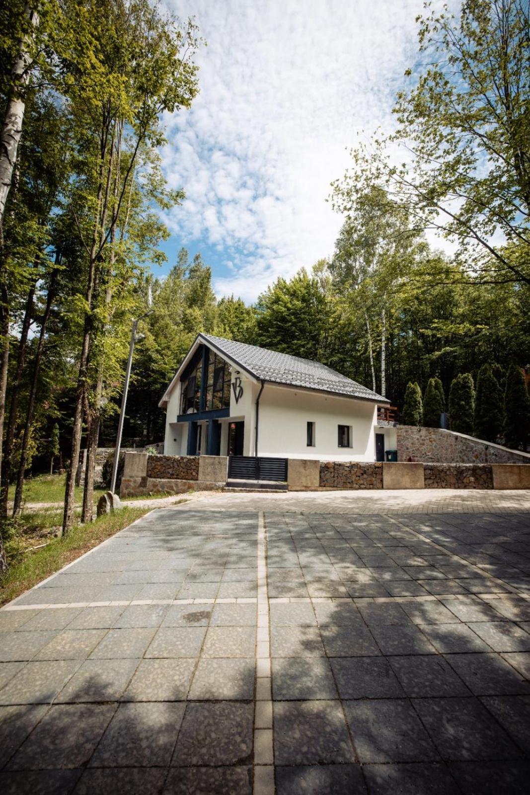 Vila Blanc Valiug Crivaia Kültér fotó